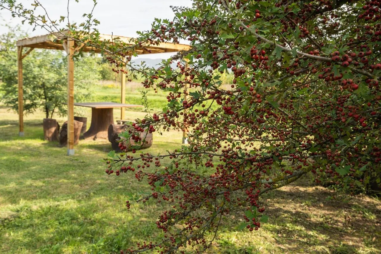 Holiday home Incanto Toscano Larciano